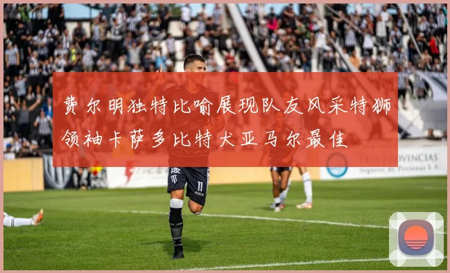 费尔明独特比喻展现队友风采特狮领袖卡萨多比特犬亚马尔最佳