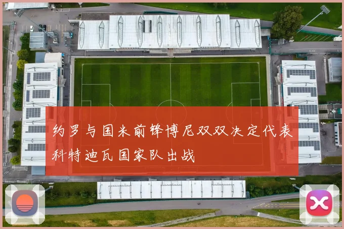 约罗与国米前锋博尼双双决定代表科特迪瓦国家队出战