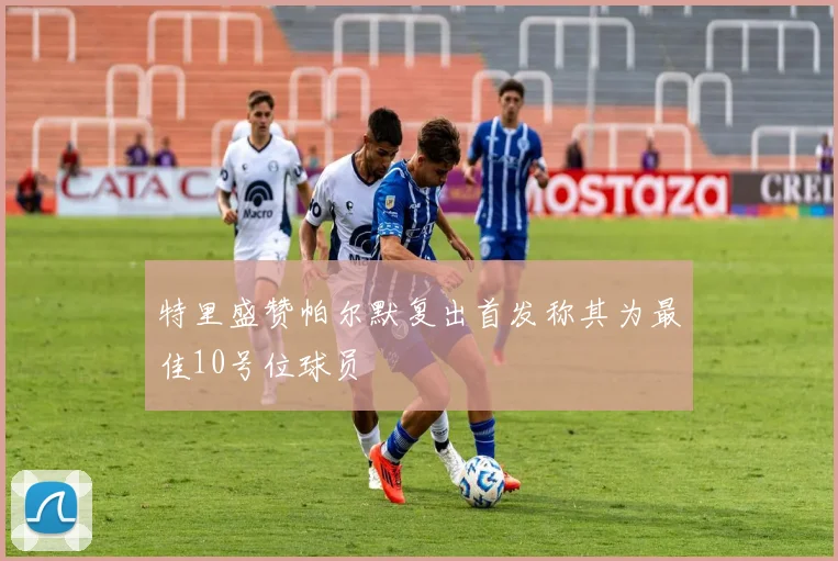 特里盛赞帕尔默复出首发称其为最佳10号位球员