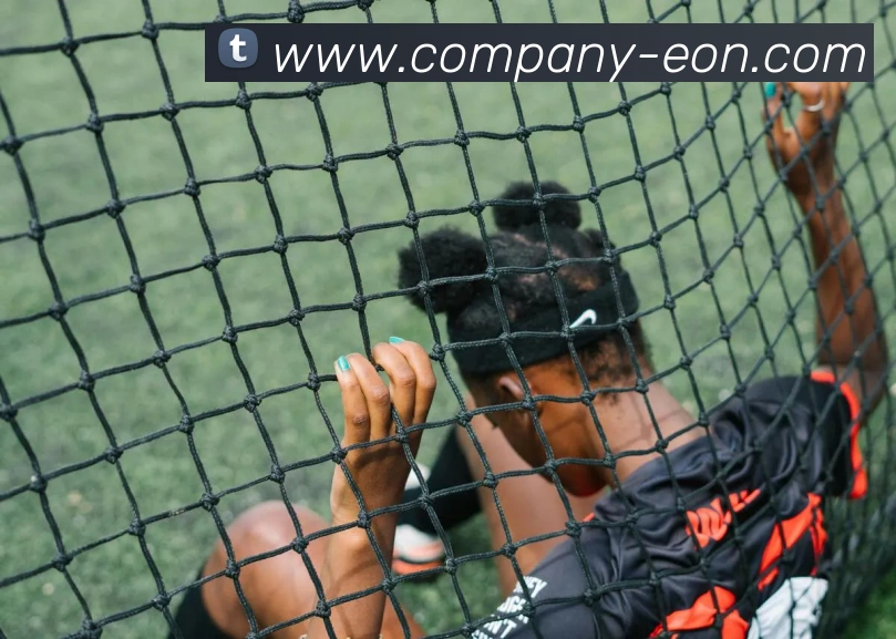 意昂体育发展历程