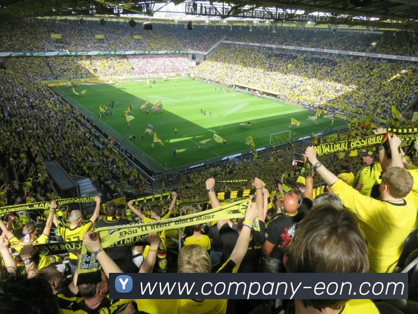 索萨加盟热刺交易即将完成转会费1500万欧元合同期限五年